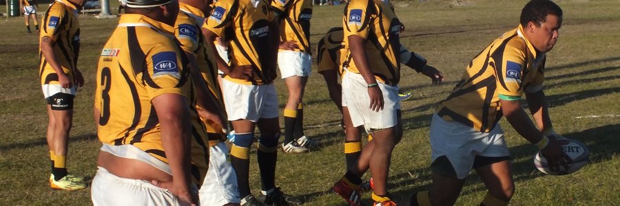 Gansbaai Black Leaves Montagu maak amok_1